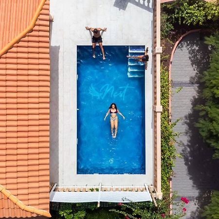 Duque Nest Hostel Costa Adeje Dış mekan fotoğraf