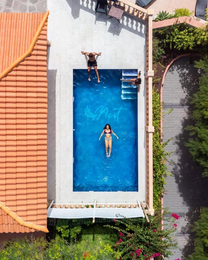 Duque Nest Hostel Costa Adeje Dış mekan fotoğraf